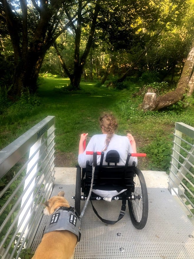 An image of Beth in her GRIT Freedom Chair, with her dog on a leash beside her.