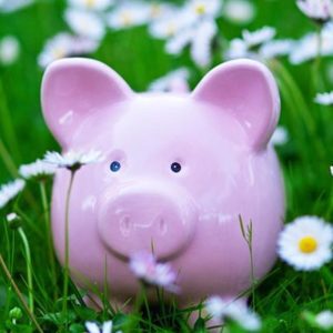 A piggy bank sits in grass with daisies