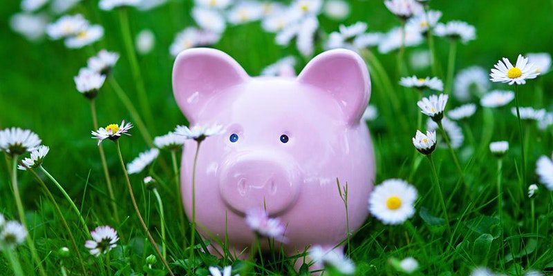 A piggy bank sits in grass with daisies