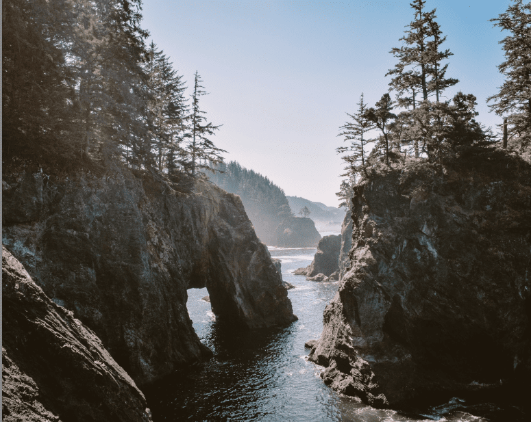 Rock canyon with water and pine trees