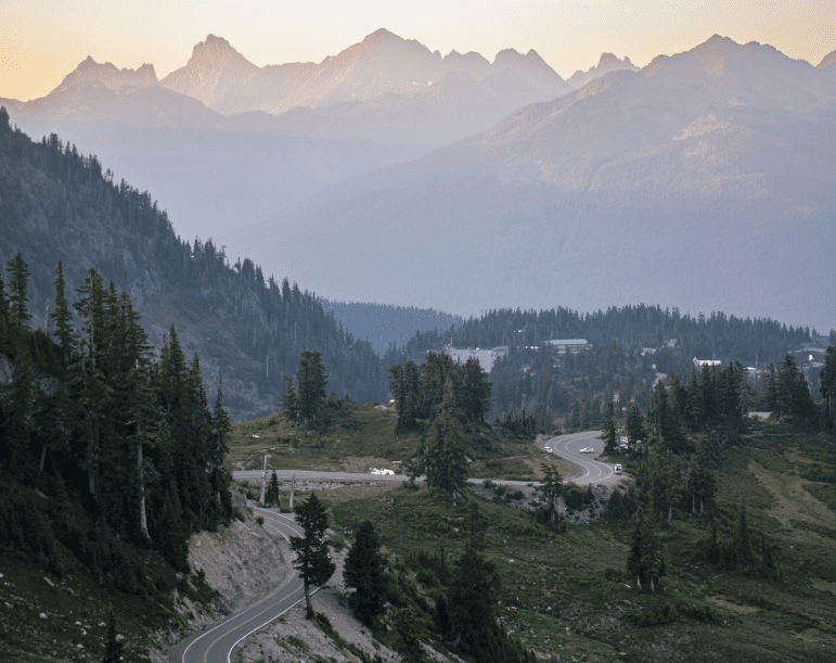 Roading winding through trees with mountains in the background